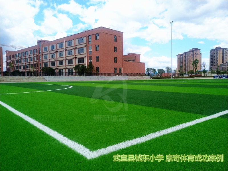 來賓武宣縣城東小學(xué) 人造草坪足球場(chǎng)成功案例——康奇體育
